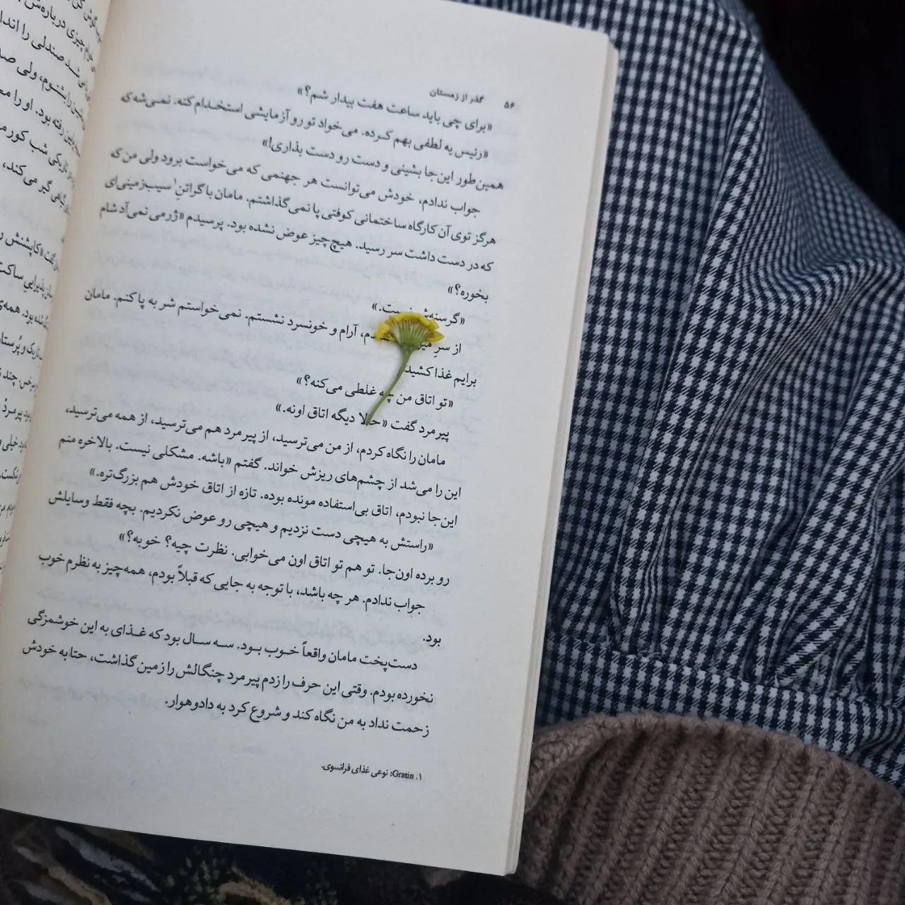 گل زرد کوچکی میان صفحات کتابی گشوده